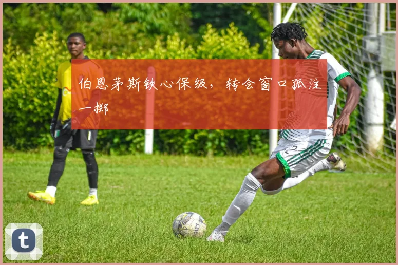 伯恩茅斯铁心保级,转会窗口孤注一掷