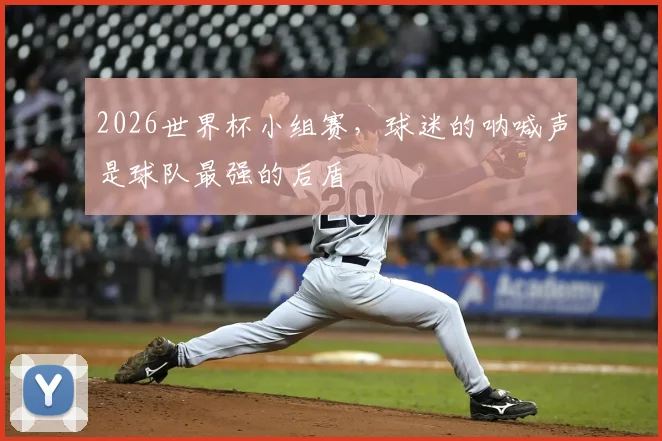 2026世界杯小组赛,球迷的呐喊声是球队最强的后盾