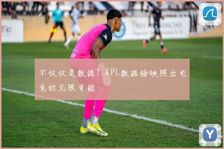 不仅仅是数据！KPL数据榜映照出电竞的无限可能