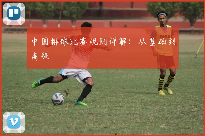 中国排球比赛规则详解:从基础到高级